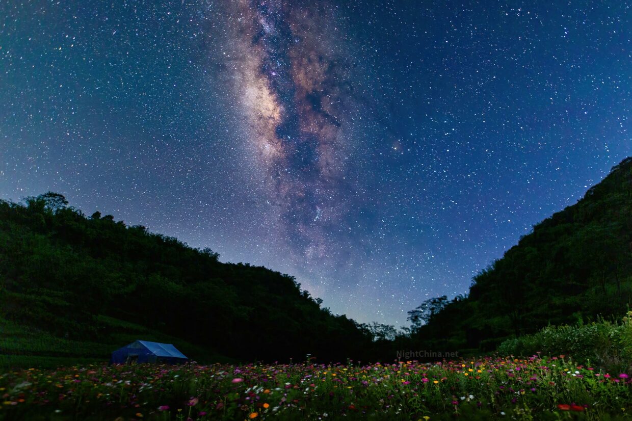 银河下的花海 夜空中国