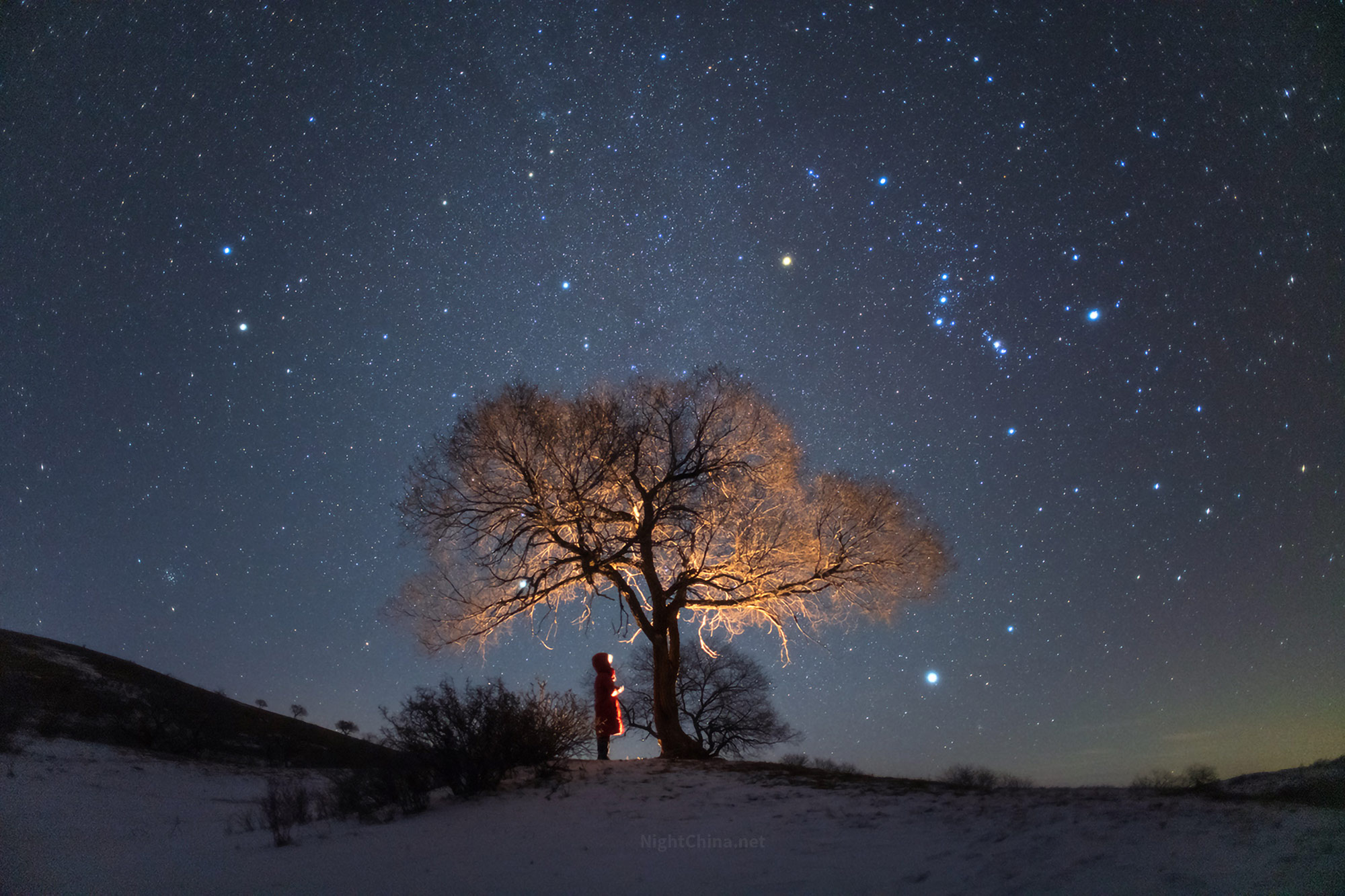仰望星空树 – 夜空中国